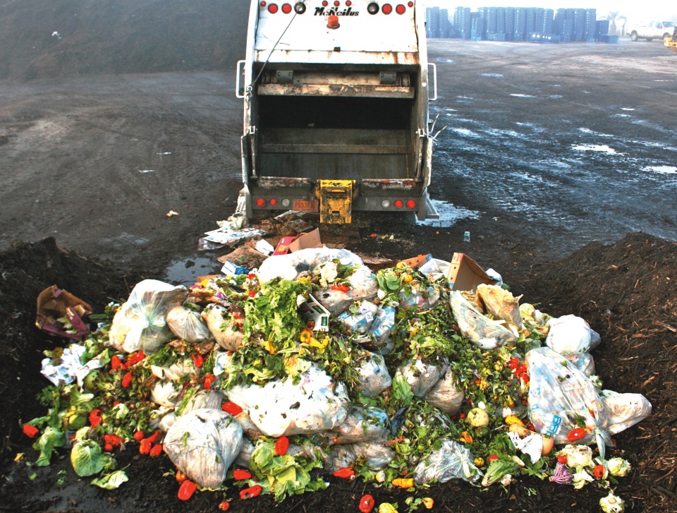 food_waste